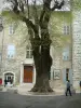 Vence - La place du Frêne avec son bel arbre et le château de Villeneuve-Fondation Émile-Hugues en arrière-plan
