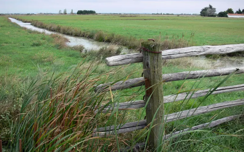 Breton marsh in the Vendée 9 quality highdefinition images