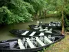 Venise verte du Marais poitevin - Marais mouillé : barques amarrées (embarcadère pour une promenade en barque), à Arçais