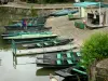 Venise verte du Marais poitevin - Embarcadère pour une promenade en barque dans le marais mouillé ; à Arçais