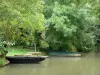Venise verte du Marais poitevin - Marais mouillé : barques, et arbres au bord de l'eau