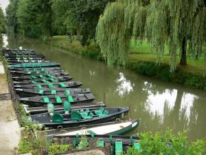 La Venise Verte Du Marais Poitevin Guide Tourisme Vacances