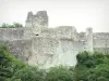 Ventadour城堡 - 中世纪堡垒的遗迹;在Moustier-Ventadour镇