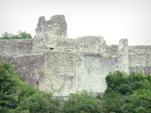Ventadour castle - Remains of the medieval fortress; in the municipality of Moustier-Ventadour