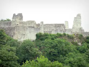 Ventadour castle - Remains of the medieval fortress in a green