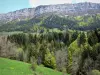 Vercors Regional Nature Park - Vercors mountains: pasture, forest (trees) and cliffs overhanging the place