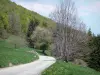 Vercors Regional Nature Park - Vercors mountains: Écouges road lined with trees and pastures