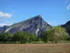 Vercors Regional Nature Park - Field lined with trees at the foot of a mountain