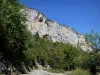 Vercors Regional Nature Park - Cliffs overlooking the Combe Laval road