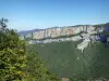 Vercors Regional Nature Park - Panorama from the Combe Laval road