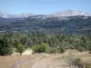 Vercors Regional Nature Park - Path on the edge of the forest