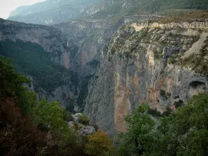 Verdon gorges - From the sublime corniche (scenic coastal road), view of vegetation, trees, scrubland and limestone cliffs (rock faces) of the canyon (Verdon Regional Nature Park)
