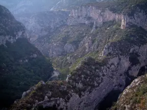 Verdon gorges - From the Mescla balconies, view of rock faces, trees (forests) and scrubland (Verdon Regional Nature Park)