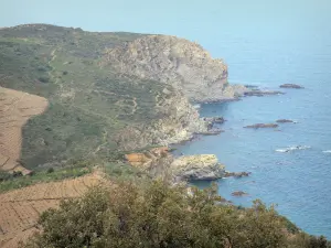 Vermeille Coast - 岩石海岸和地中海的看法