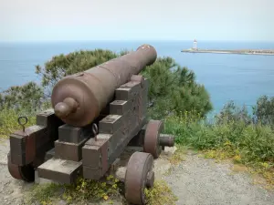 Vermeille Coast - 佳能在前景俯瞰Port-Vendres灯塔和地中海