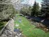 Vernet-les-Bains - Rivière Cady bordée d'arbres