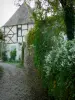 Verneuil-en-Bourbonnais - Casa de madera con marco de flores y plantas