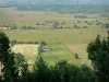 Vernier marsh - View of the meadows dotted with herds of cows; in the Norman Seine River Meanders Regional Nature Park