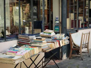 Versailles - Book stall in a bookstore