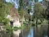 Verteuil-sur-Charente - Fleuve Charente (vallée de la Charente) et arbres au bord de l'eau