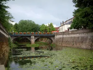 Vesoul - Fluss mit Seerosen, und Brücke mit Blumen