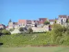 Vézelay - Maisons dominant les vignes
