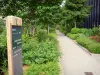 Viaduc des Arts et sa Promenade plantée - Coulée verte René-Dumont : balade le long de la Promenade plantée située sur le viaduc