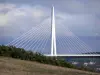 Viaduc de Millau - Tablier, pylône et haubans du pont autoroutier