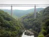 Viaduct van de Fades - Spoorviaduct (een van de hoogste in Europa) met uitzicht op de rivier de Sioule en heuvels bedekt met bossen, over de gemeente Sauret-Besserve
