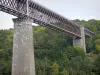 Viaduct van de Fades - Spoorviaduct (een van de hoogste in Europa) en bomen over de gemeente Sauret-Besserve