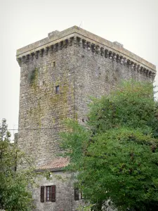 Viala-du-Pas-de-Jaux - Hospitallers tower