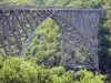 Viaur-Viadukt - Eisenbahnviadukt des Viaur, Kunstbauwerk aus Stahl, mit grüner Umgebung