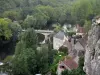 Gids van de Vienne - Angles-sur-l'Anglin - Huizen in het dorp, brug over de rivier de Anglin, de bomen aan de rand van het water