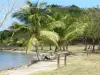 Vieux-Bourg - Guide tourisme, vacances & week-end en Guadeloupe