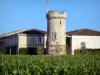 Vignoble de Bordeaux - Vigneti e torre del castello Cos d' Estournel, vigneto a Saint - Estèphe nel Médoc