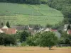 Vignoble champenois - Toits de maisons, arbres, et champs de vignes du vignoble de Champagne