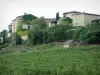 Vignoble de Gaillac - Maisons surplombant un champ de vignes (vignoble gaillacois)