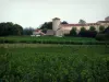 Vignoble de Gaillac - Champs de vignes, arbres et demeure (vignoble gaillacois)