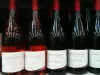 Le vignoble de Saint-Pourçain - Guide gastronomie, vacances & week-end dans l'Allier