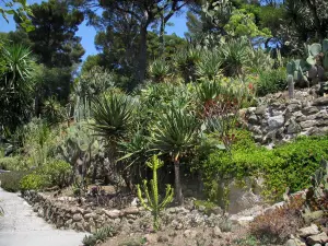 Villa Ephrussi de Rothschild - Jardin exotique