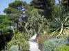 Villa Ephrussi de Rothschild - Jardin exotique