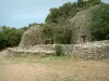 Village des Bories - Cabanes (constructions) et muret en pierre sèche avec des arbres