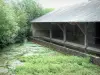 Villages du Berry - Lavoir avec plan d'eau, plantes aquatiques et arbres