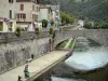 Villefranche-de-Rouergue - Pont des Consuls, Aveyron rivier, Werven Hospital en de Seneschal, visser en gevels van huizen in de stad