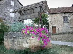 Villeneuve d'Aveyron - Puits fleuri et façades de maisons de la bastide