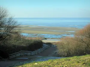 Villerville - Côte Fleurie (Flower coast): sloping footpath lined with trees leading to the beach of the seaside resort, the Channel (sea) in background