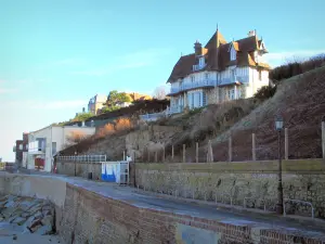Villerville - Côte Fleurie (Flower coast): villas (houses) of the seaside resort dominating the beach