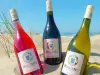 Le vin de sable - Guide gastronomie, vacances & week-end dans les Landes