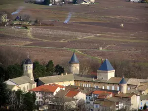 Viñedo de Beaujolais - Pueblo de Saint-Lager y viñedos