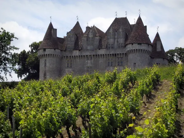 A vinha de Bergerac - Guia gastronomia, férias & final de semana na Dordonha